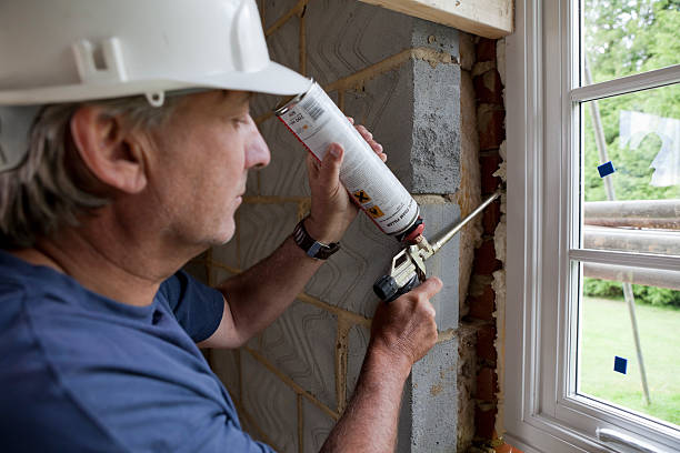 Best Energy-efficient Insulation  in Muskegon, MI